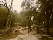 Alcoy-Parque Natural Font Roja